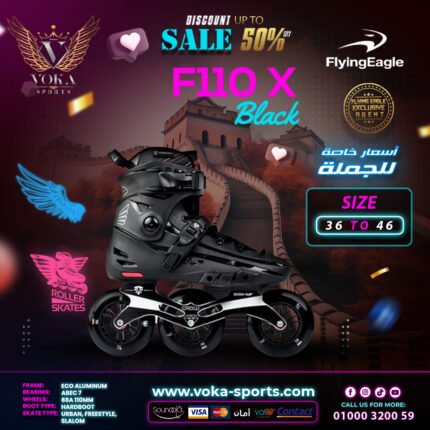 Flying Eagle skate shoes ( F110X ) Black