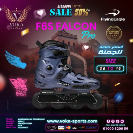 Flying Eagle skate shoes ( F6S FALCON PRO ) Blue