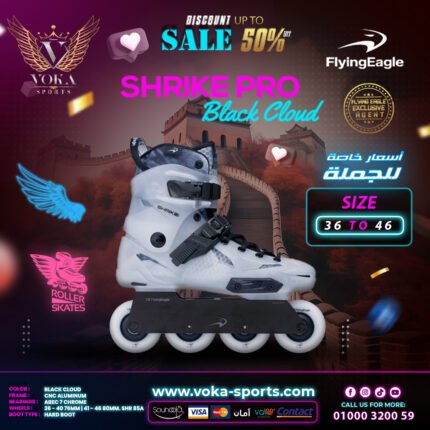 Flying Eagle skate shoes ( SHRIKE PRO ) Black Cloud